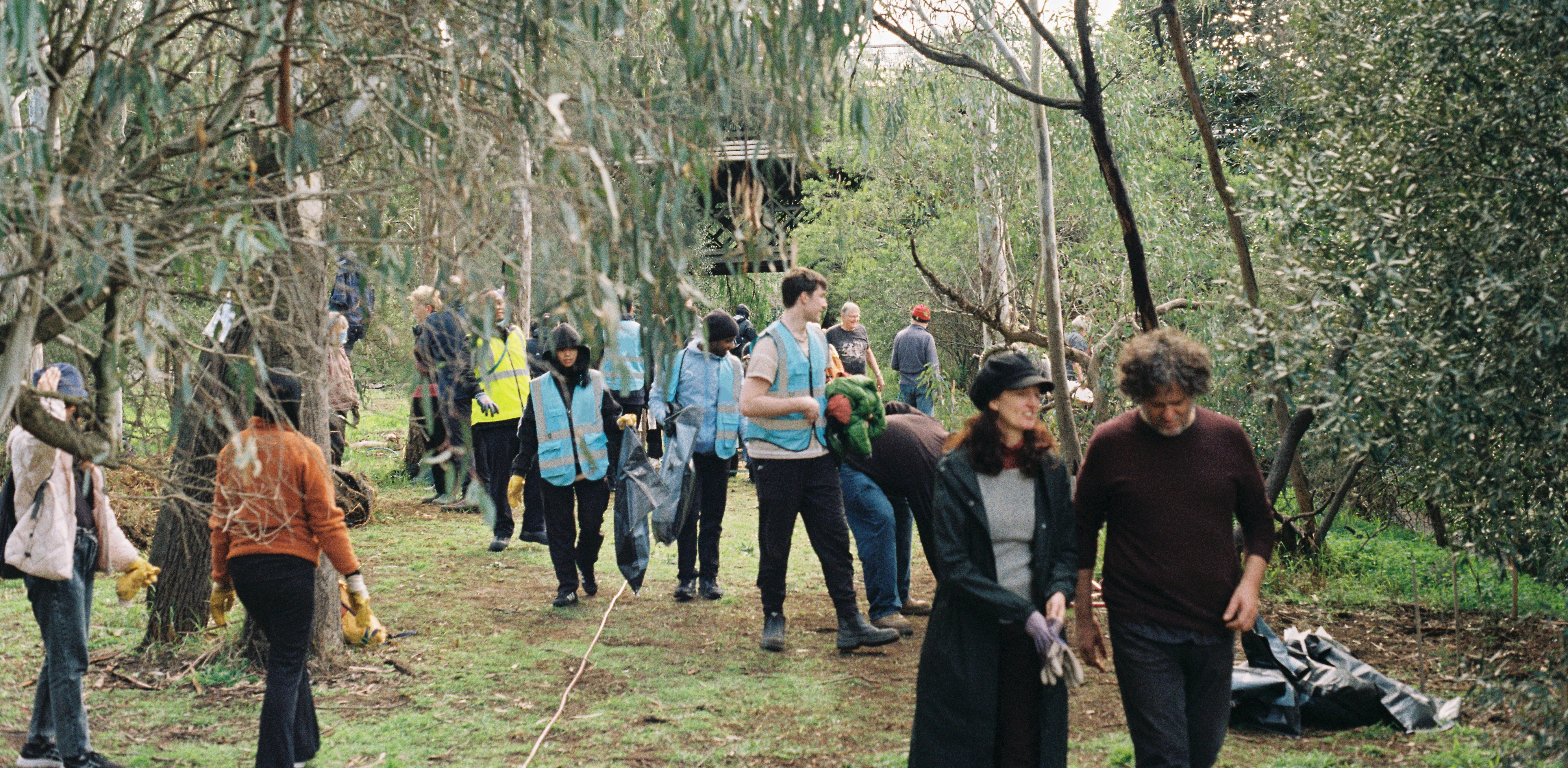 Several people with reflective vests and gloves work together to clean up trash in a grassy area filled with trees.